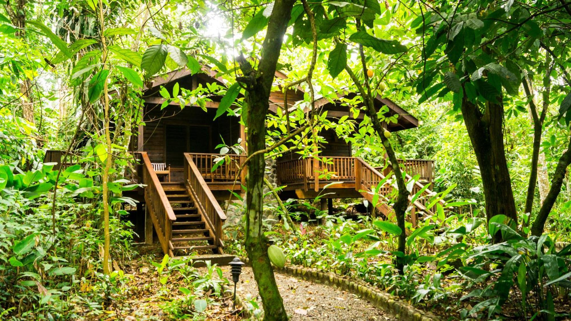 The Lodge & Spa At Pico Bonito El Pino Eksteriør bilde